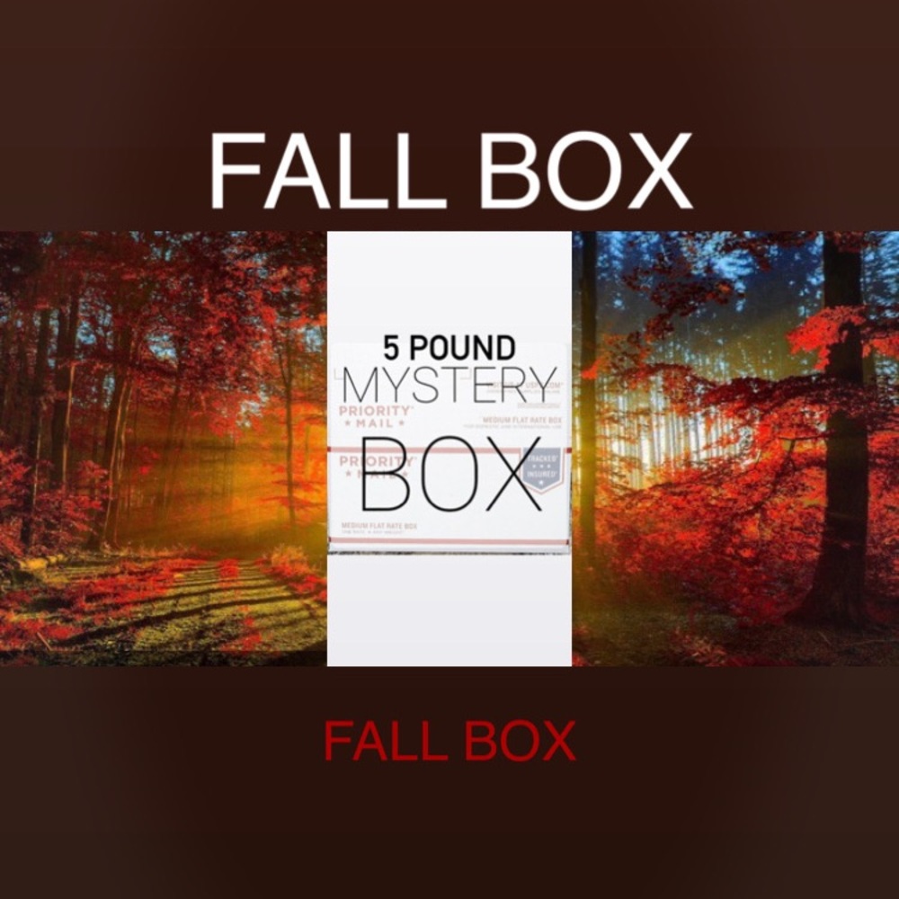 Fall Mystery Reseller 5 Pound Jam Packed Bundle Box sizes XS, S, M, L NWT/ EUC